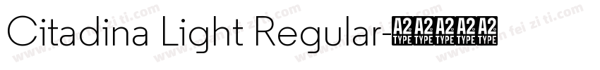 Citadina Light Regular字体转换